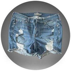 BOGO TORRID EUC Distressed Jean Shorts